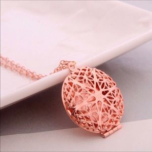 Rose Gold Photo Locket Necklace Pendant Chain